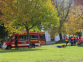 IMG 5741