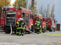 IMG 5761