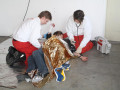 09 04 2011 2071 FR Kurs Johanniter Pruefung