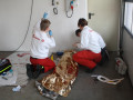 09 04 2011 2089 FR Kurs Johanniter Pruefung