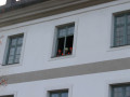 IMG 5842