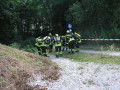 brandcontainer 2010 18 20100826 1767068917