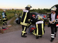 IMG 3919