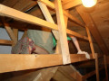 IMG 5630