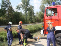 IMG 5649