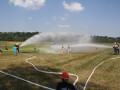 IMG 5681