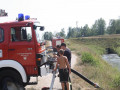 IMG 5694