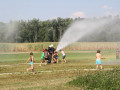 IMG 5699