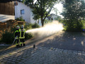 24 06 2015 5029 LA Wasser