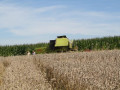 14 08 2011 3743 Brand Maehdrescher Arbing