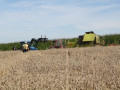 14 08 2011 3776 Brand Maehdrescher Arbing