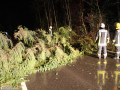 22 01 2012 Baum auf Strasse Rotter Forst