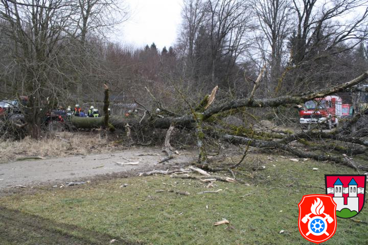 28 02 2012 5482 PersonUnterBaum Stoebersberg