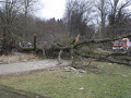 28 02 2012 5482 PersonUnterBaum Stoebersberg