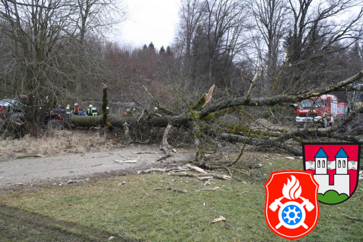 28 02 2012 5482 PersonUnterBaum Stoebersberg
