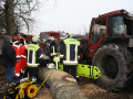 28 02 2012 5487 PersonUnterBaum Stoebersberg