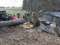 28 02 2012 5495 PersonUnterBaum Stoebersberg