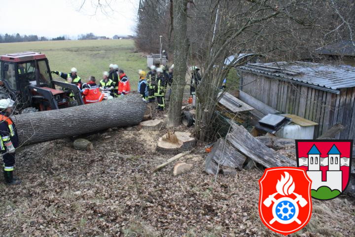 28 02 2012 5495 PersonUnterBaum Stoebersberg
