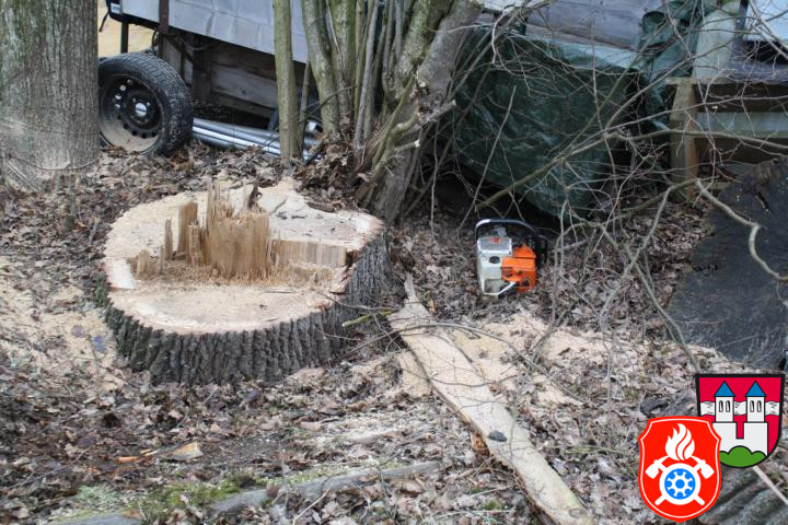 28 02 2012 5496 PersonUnterBaum Stoebersberg