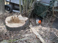28 02 2012 5496 PersonUnterBaum Stoebersberg