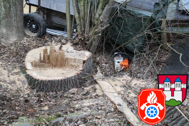 28 02 2012 5496 PersonUnterBaum Stoebersberg