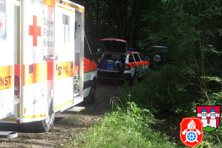 30 07 2012 6631 Unterstuetzung RD RotterForst
