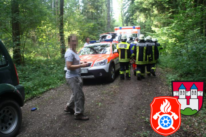 30 07 2012 6635 Unterstuetzung RD RotterForst