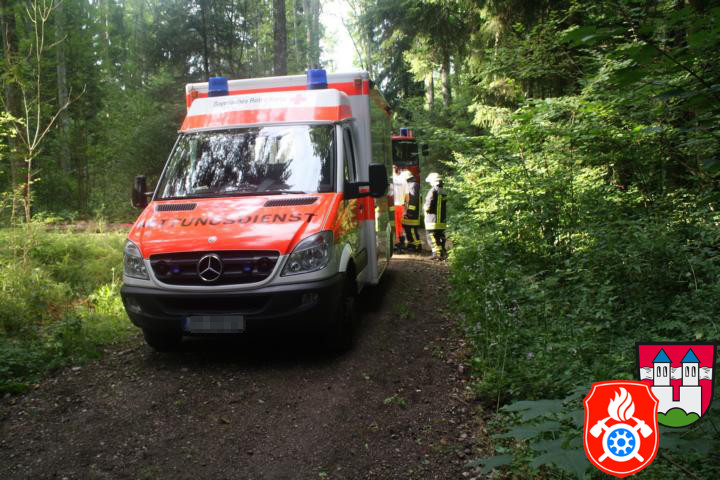 30 07 2012 6636 Unterstuetzung RD RotterForst