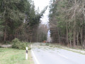 IMG 4547