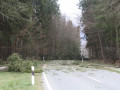 IMG 4550