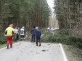 IMG 4554
