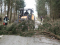 IMG 4560