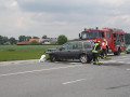 IMG 4939