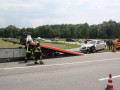 IMG 4952