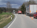 IMG 4517