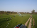 IMG 4786