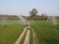IMG 4788
