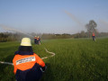 IMG 4791