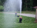 IMG 5371