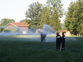 IMG 5385