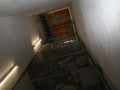 08 03 2011 1233 FF Haus