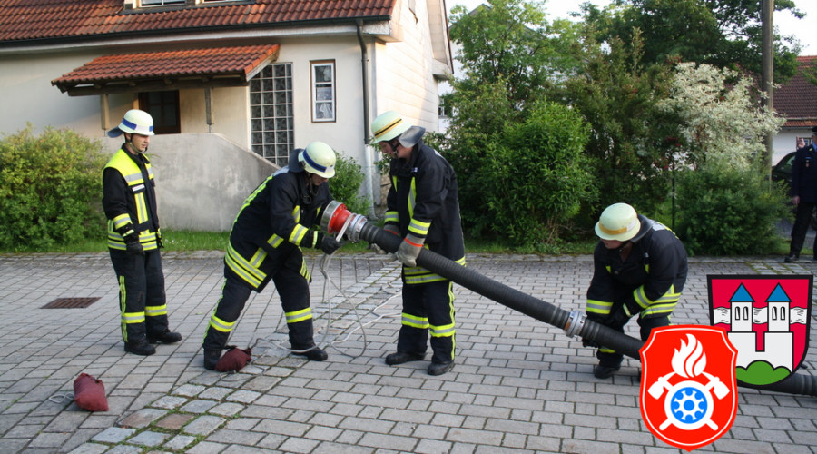 12 06 2013 9431 Leistungsabzeichen Loescheinsatz