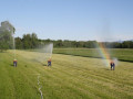 IMG 8696