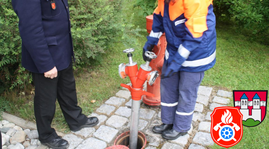 TrpM1 21 06 2012 0024