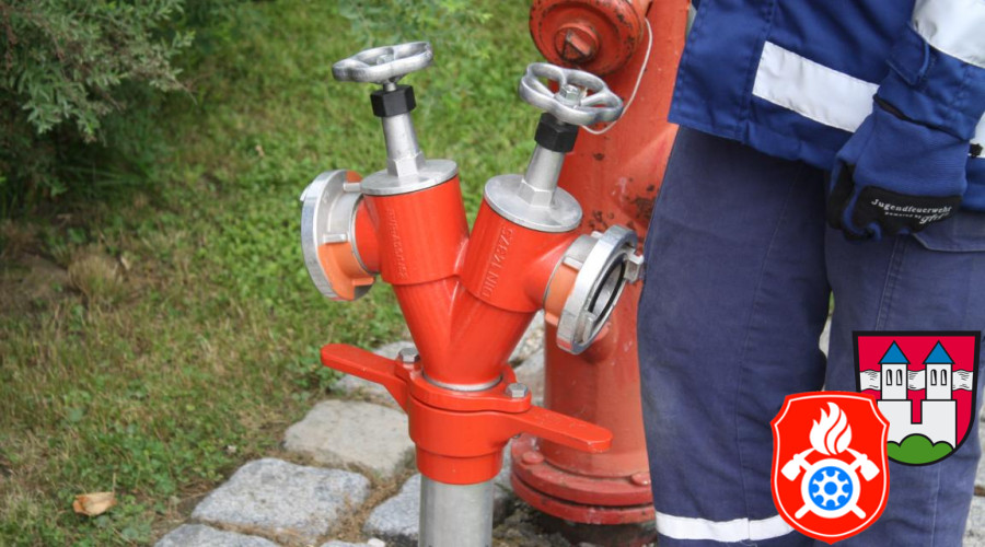 TrpM1 21 06 2012 0025