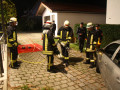 08 10 2014 3275 Leistungsabzeichen THL