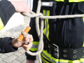 Brustbund Sicherung Spierenstic h 06