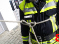 Brustbund Sicherung Spierenstic h 08