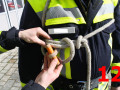Brustbund Sicherung Spierenstic h 12
