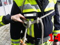 Brustbund Sicherung Spierenstic h 14